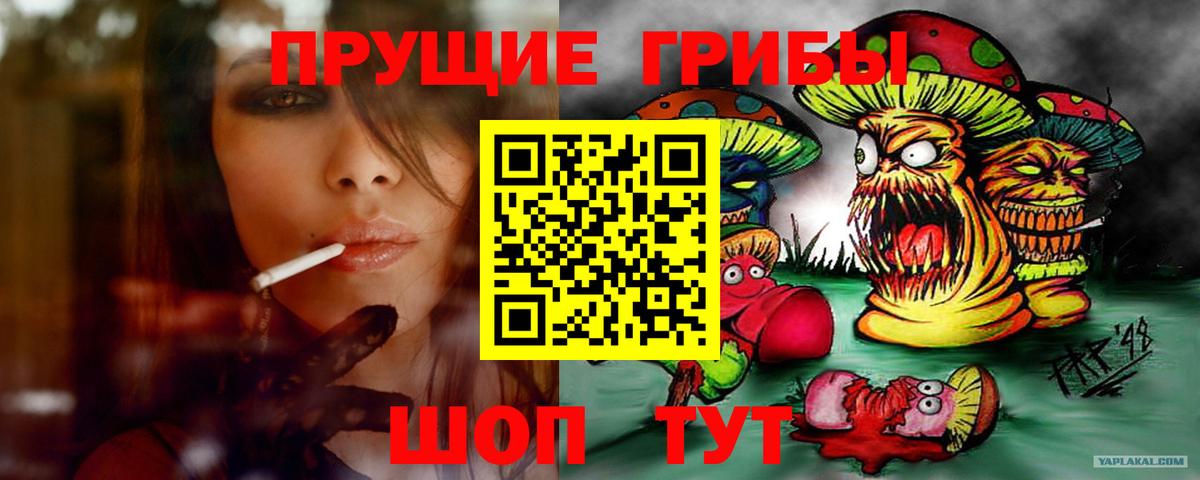 Семёнов  Псилоцибиновые грибы прущие грибы  Вход с VPN 